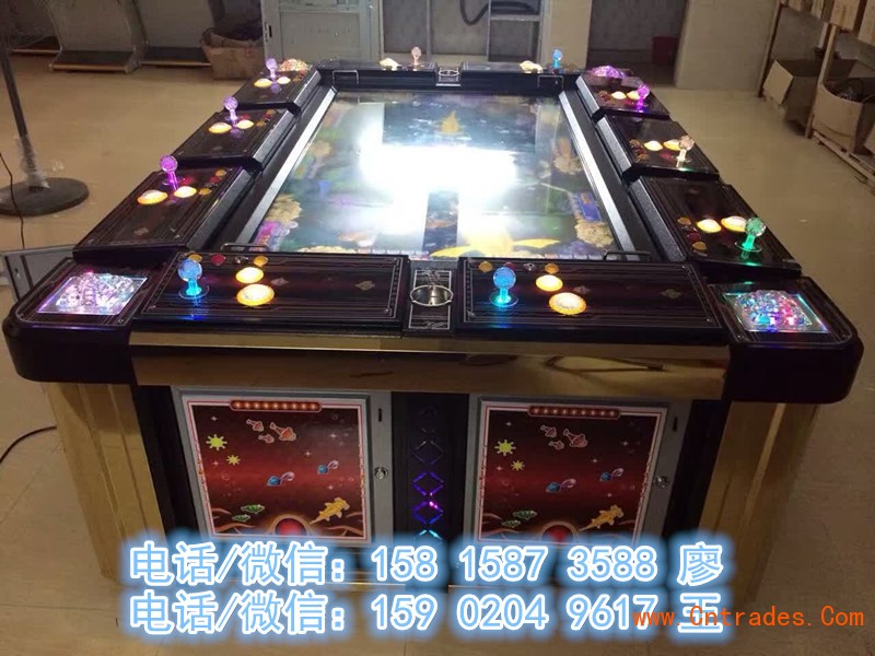 8人打鱼机多少钱_拉布拉多犬多少钱一只_1000炮打鱼机多少钱