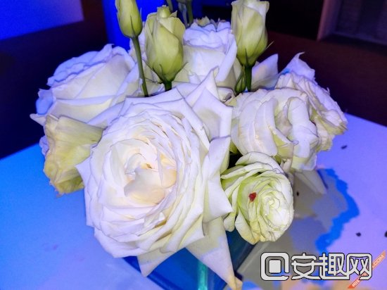 旗舰究竟有多任性 华为荣耀6 Plus评测