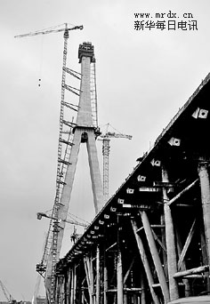 鄂东长江公路大桥_黄黄高速_斜拉桥