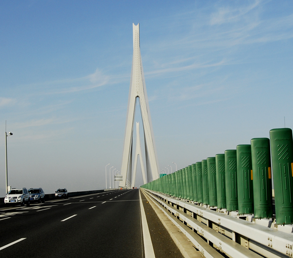 斜拉桥_鄂东长江公路大桥_黄黄高速