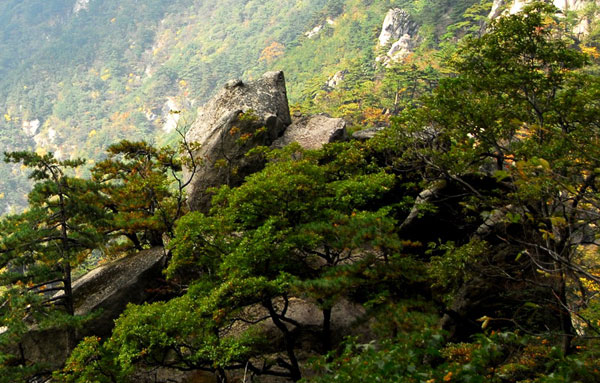 湖北省大别山区支教_鄂东大别山区_大别山哪个城市