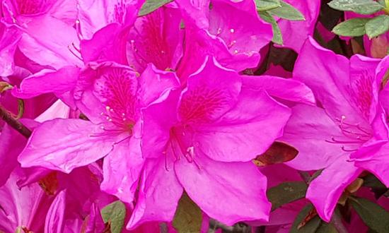 不仅是更好看了 双曲面三星S6 edge评测