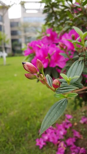 不仅是更好看了 双曲面三星S6 edge评测