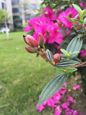 不仅是更好看了 双曲面三星S6 edge评测