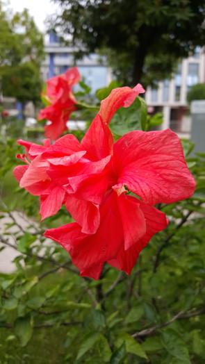 不仅是更好看了 双曲面三星S6 edge评测