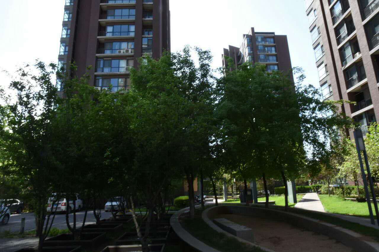 领秀新硅谷业主论坛_领秀新硅谷_领秀新硅谷房价