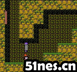 无敌nes游戏打包下载_nes游戏合集打包_西游记nes无敌版