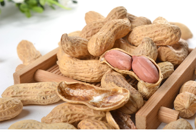 花生影院_平民花生影院_云影院