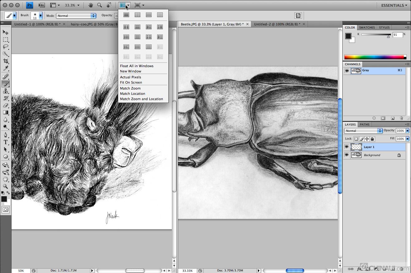adobe fireworks cs4_adobe illustrator_fireworks cs4案例教程