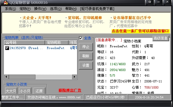 qq宠物怎么弄出来_qq宠物管家_小佩宠物智能管家