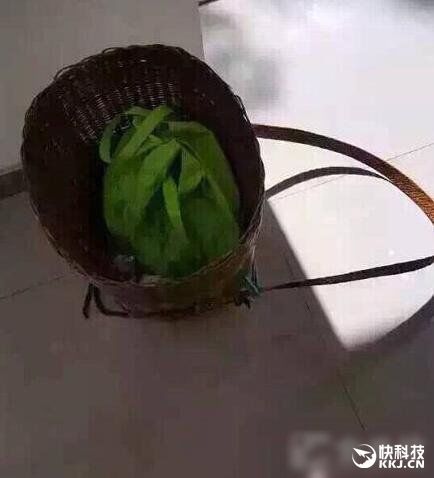 痛心!孙子要iPhone 6S 奶奶背筐来付钱