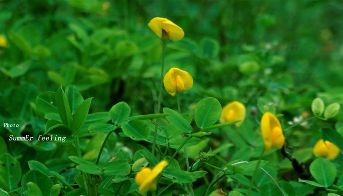 富士x10怎么开机_富士x10 虚化能力_超强的虚化能力