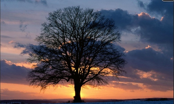 威雄八阵役风雷_风雷刀谷千雷殿_风雷by风起涟漪