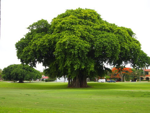 风雷刀谷千雷殿_威雄八阵役风雷_风雷by风起涟漪