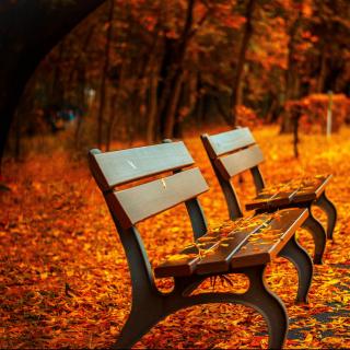 风雷刀谷千雷殿_威雄八阵役风雷_风雷by风起涟漪