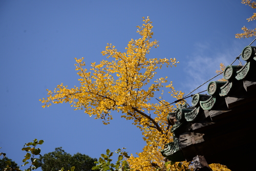 尼康全画幅大对决 D610D750深度对比评测