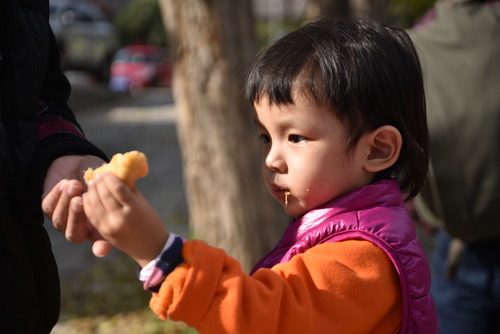 尼康全画幅大对决 D610D750深度对比评测