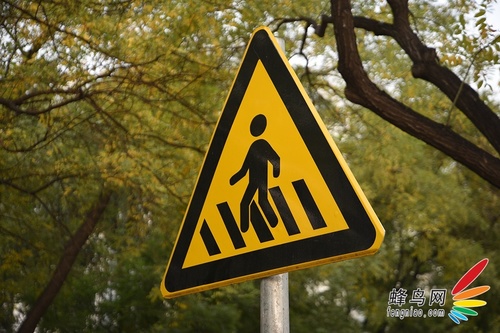 尼康全画幅巅峰对决 D610 D750 对比评测