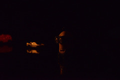 尼康全画幅大对决 D610D750深度对比评测