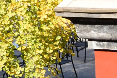 尼康全画幅巅峰对决 D610 D750 对比评测