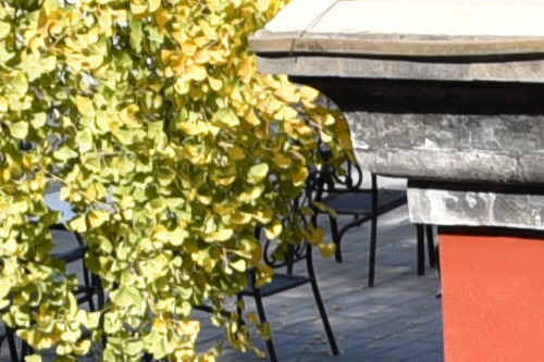 尼康全画幅巅峰对决 D610 D750 对比评测