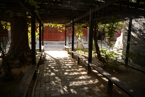 尼康全画幅大对决 D610D750深度对比评测