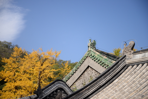 尼康全画幅大对决 D610D750深度对比评测
