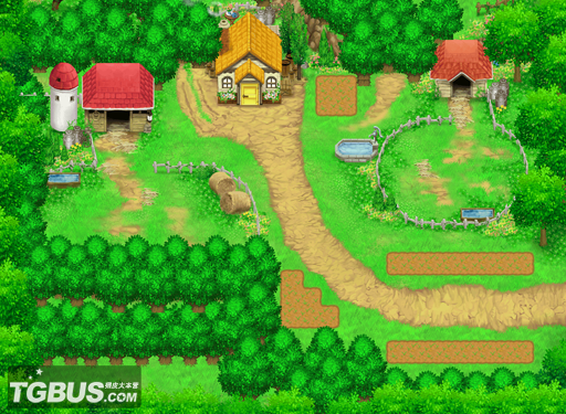 双子村_牧场物语双子村动物_双子村人物喜好