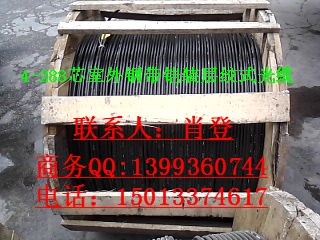 东莞光缆厂招聘岗位_室外光缆存放_12芯室外光缆