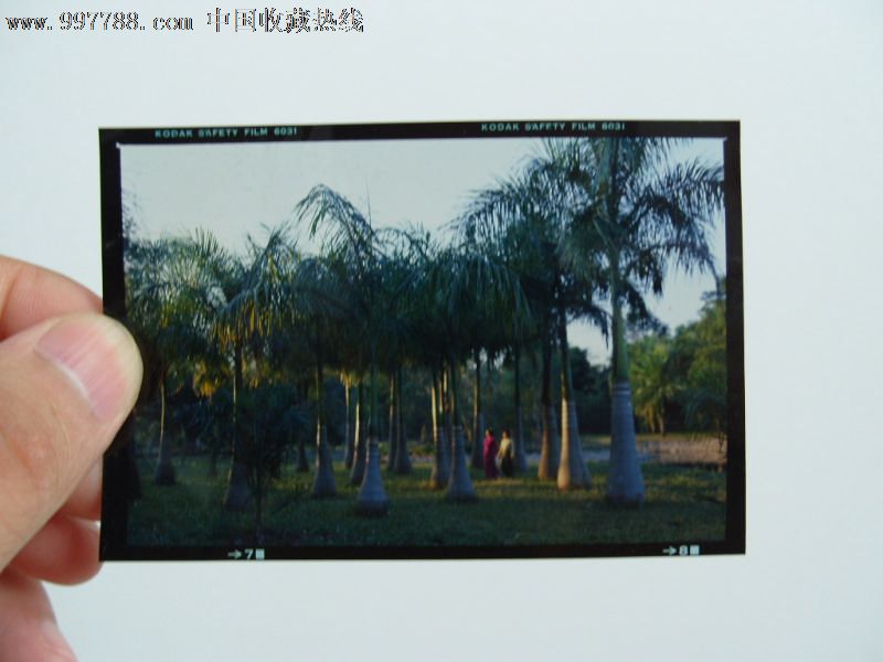 彩色反转片和彩色负片_反转片和负片_彩色反转片拍摄目的