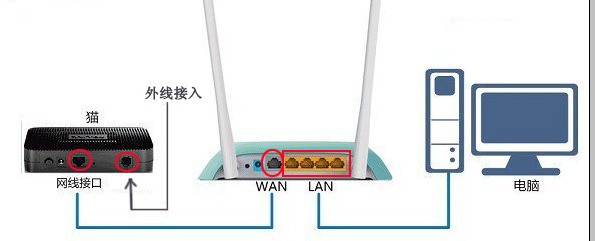 计算机猫和路由器之间有什么区别