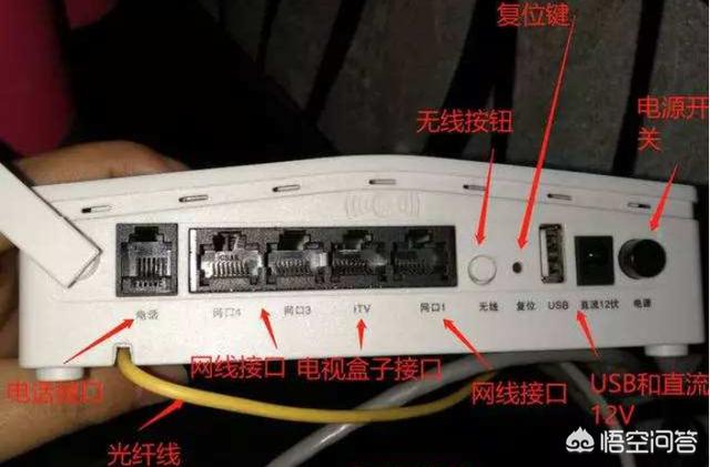 猫和路由器的区别?