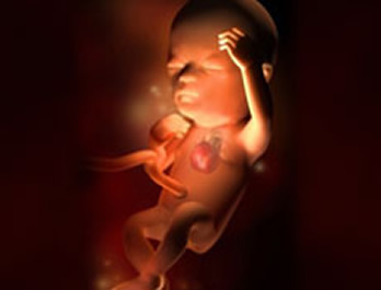 官方发布：怀孕管家（以前是怀孕管家）Android版本v4.0.0官方最新版本