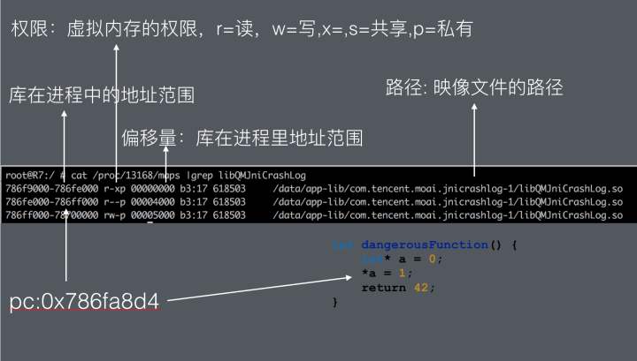 解释内存管理的基本原理和要求