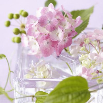 笔记本电脑电池显示请考虑更换电池