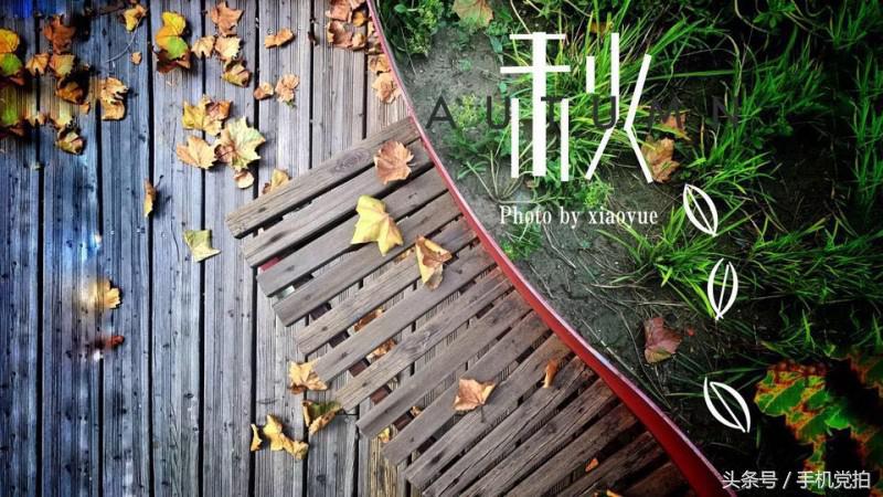 想给图片配上文字、加个印章｜教你手机一键搞定！
