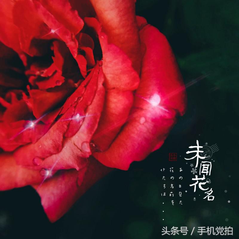 你值得拥有：我想在图片上添加文字和图章｜教您一键点击手机！