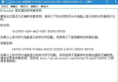 win变色龙下载_win10驱动器解除锁定_win标题栏