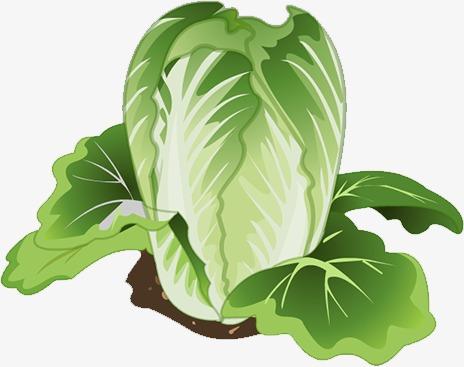u盘启动pe工具_大白菜pe u盘装系统—u盘启动盘制作工具45_pe系统下载 u盘启动 win10系统