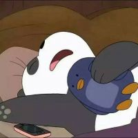 小米放大器一直闪黄灯连不上网