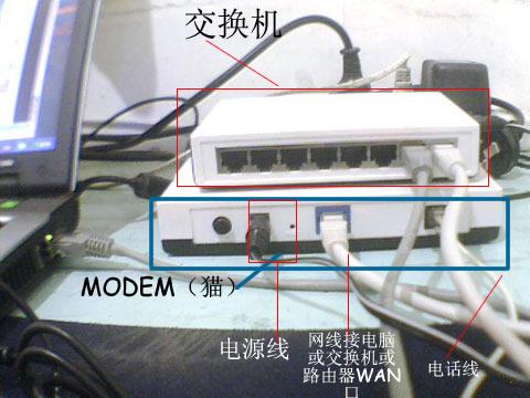 路由翻墙器怎么用_路由猫_猫和路由器的图片