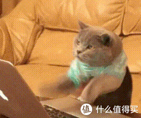 机械键盘扫盲贴，从100元到1000元的键盘，哪把能让你喊出真香