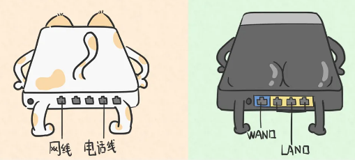 光猫和路由器哪类网线