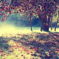 怎么用两个路由器上网