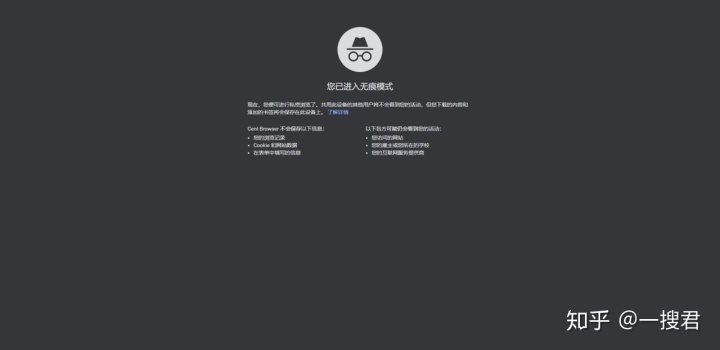 好用的ie内核浏览器