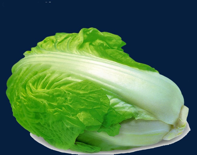 用u盘安装系统必须制作u盘启动吗_制作u盘系统安装盘4g够吗_制作u盘系统安装盘4g够吗