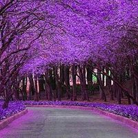 3tb硬盘分区软件