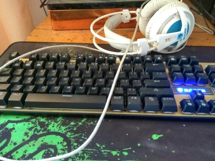 达尔文雀_win 10 hyper-v_达尔优win10驱动