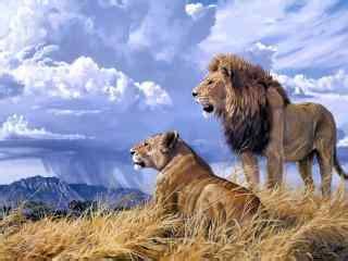 瑞星杀毒软件下载_瑞星杀毒软件狮子图片_瑞星手机杀毒