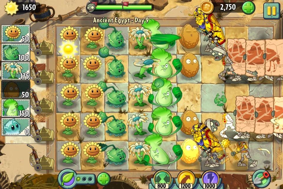 1609225916423708.jpg